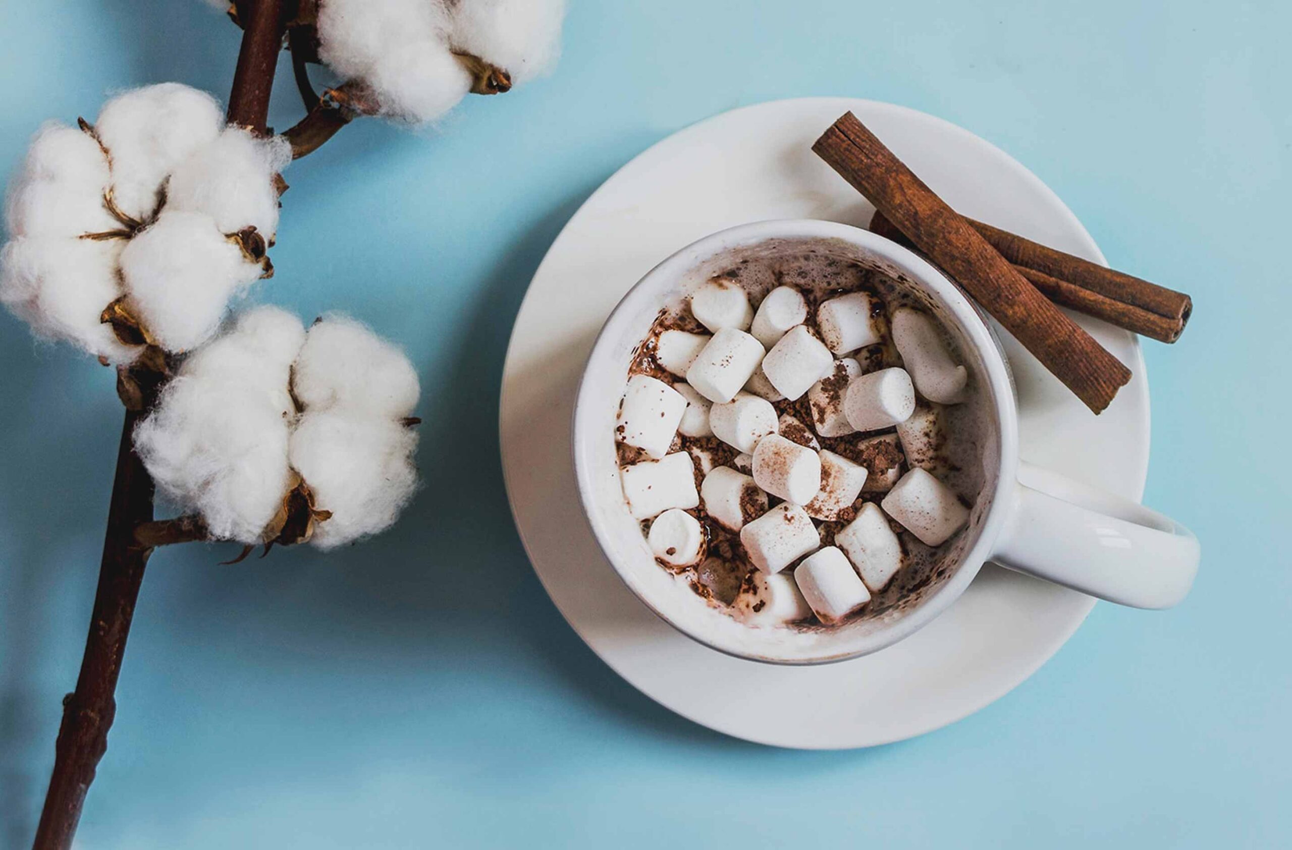 Marshmallows in a Cup
